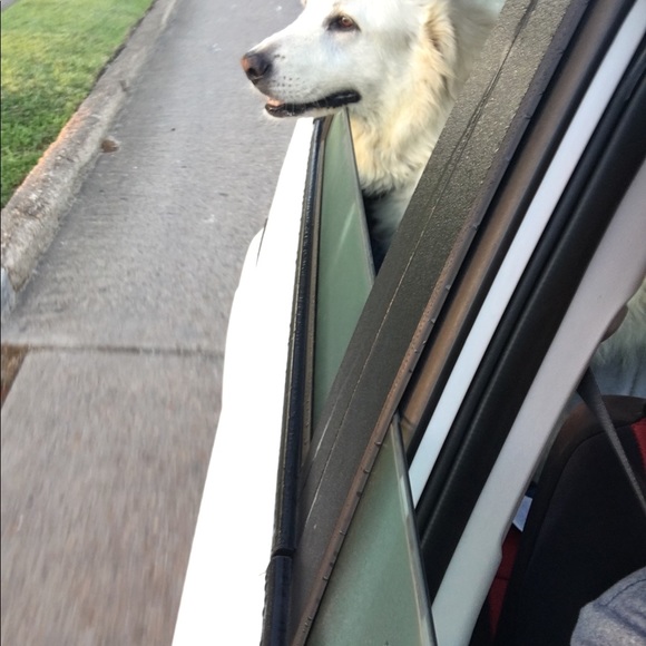 Meet your Posher, LC - Picture 5 of 14